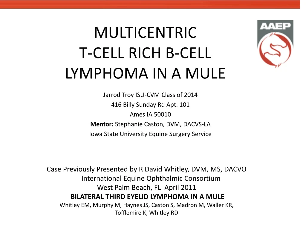 multicentric t cell rich b cell lymphoma in a mule