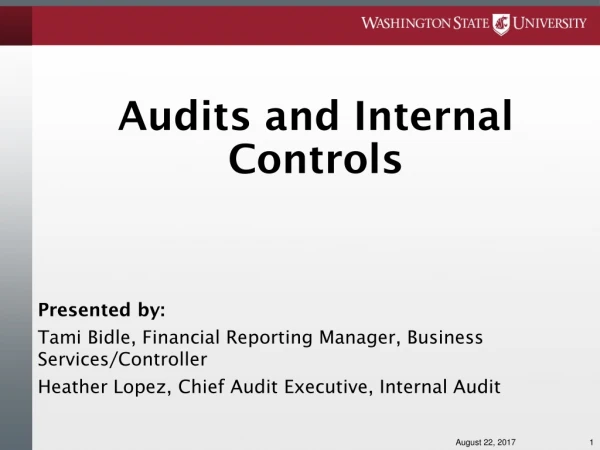 Audits and Internal Controls