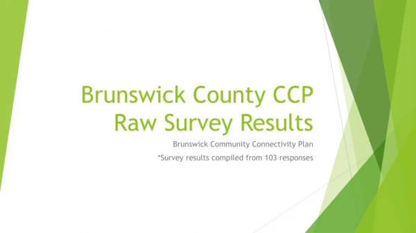 Brunswick County CCP Raw Survey Results