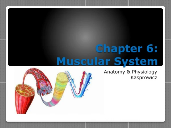 Chapter 6: Muscular System