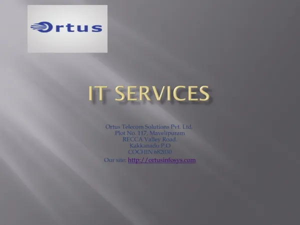 Ortus -IT services