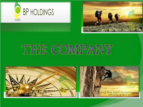The Company | BP Holdings Investment Solutions