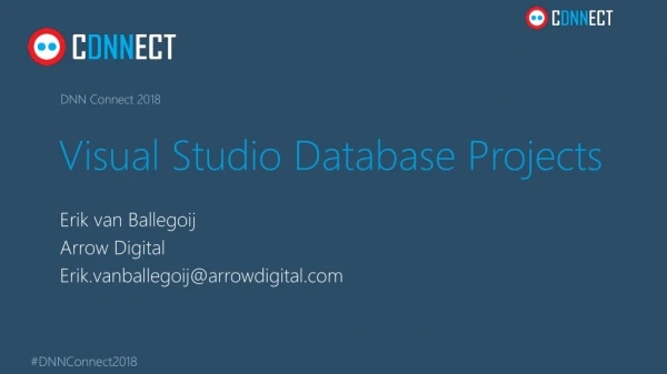 Visual Studio Database Projects