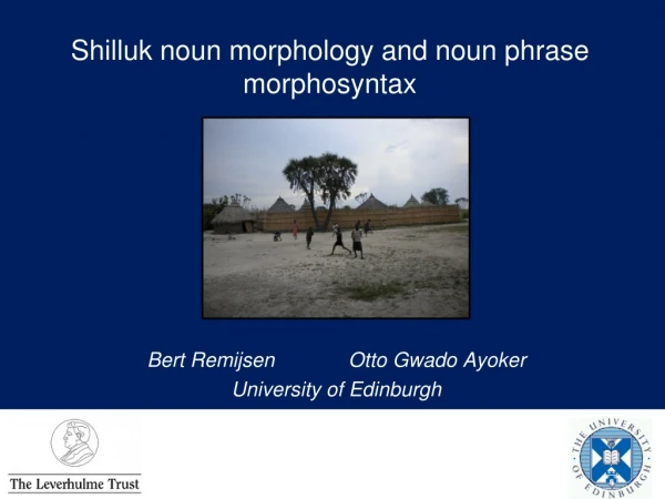Shilluk noun morphology and noun phrase morphosyntax