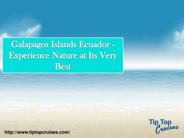 Galapagos Islands Ecuador - Experience Nature at Its Very Best