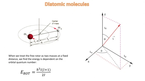 Diatomic molecules