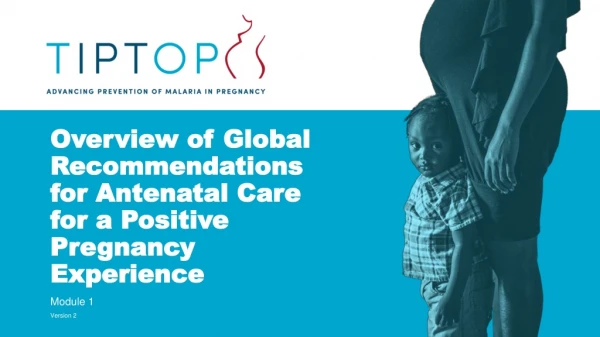 Overview of Global Recommendations for Antenatal Care for a Positive Pregnancy Experience