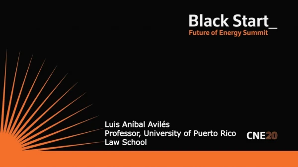 Luis Aníbal Avilés Professor, University of Puerto Rico Law School