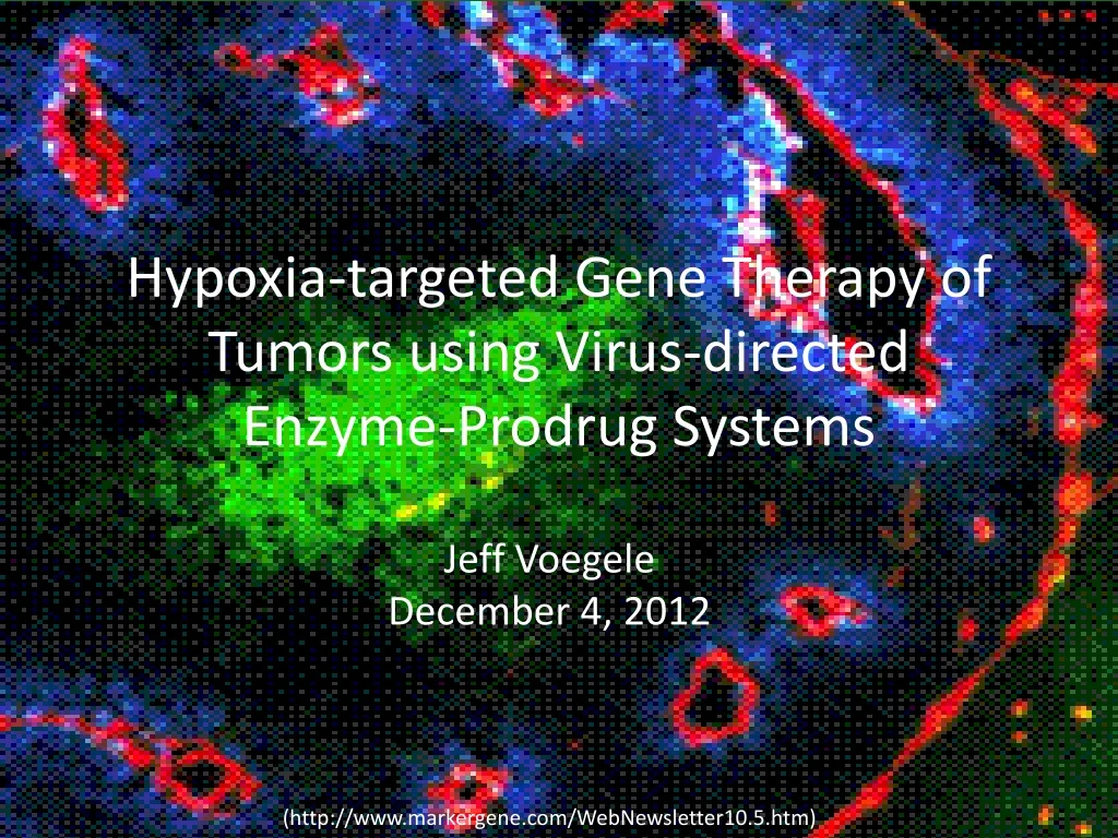 hypoxia targeted gene therapy of tumors using virus directed enzyme prodrug systems
