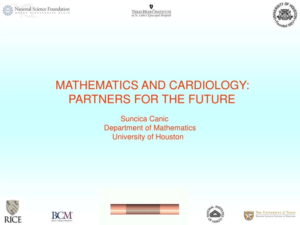 mathematics and cardiology partners for the future