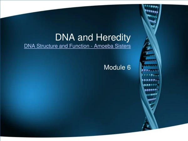 DNA and Heredity DNA Structure and Function - Amoeba Sisters