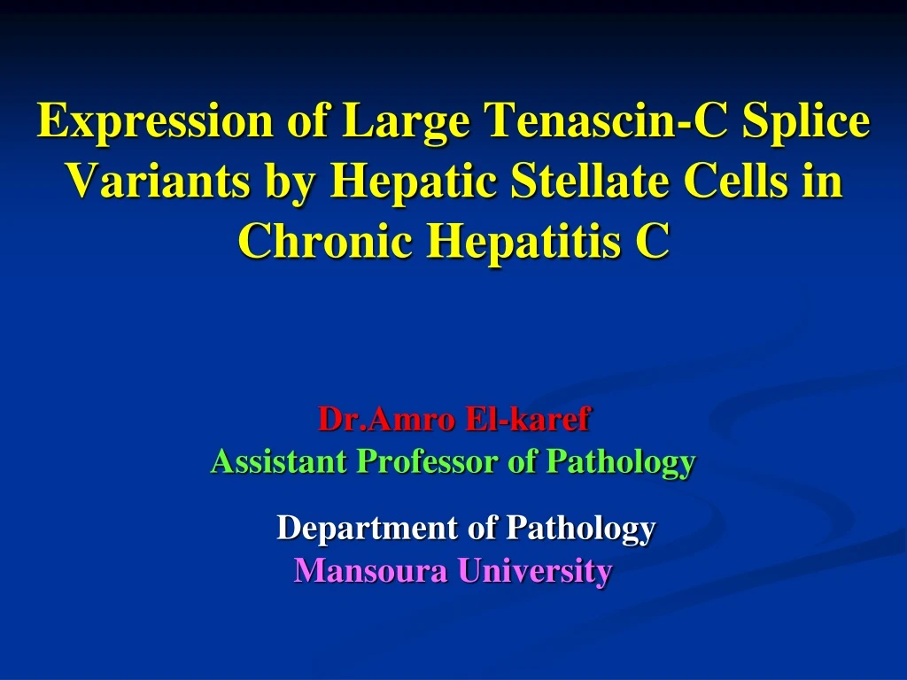 expression of large tenascin c splice variants by hepatic stellate cells in chronic hepatitis c