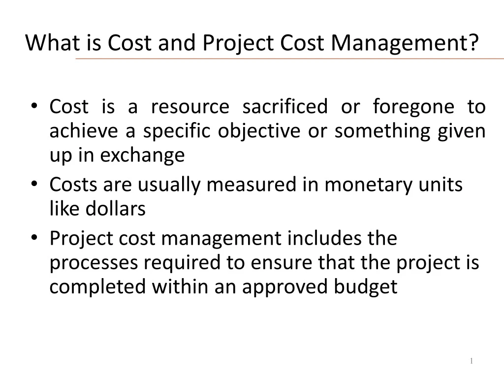 what is cost and project cost management