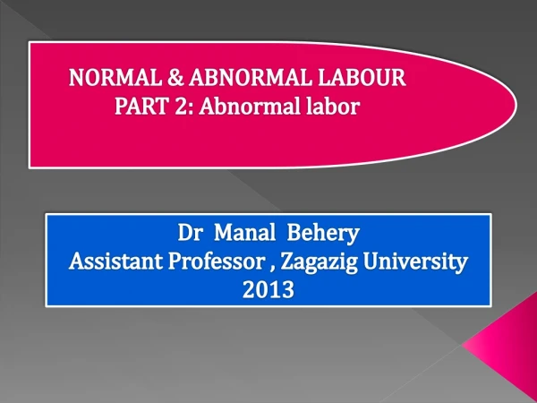 Dr Manal Behery Assistant Professor , Zagazig University 2013