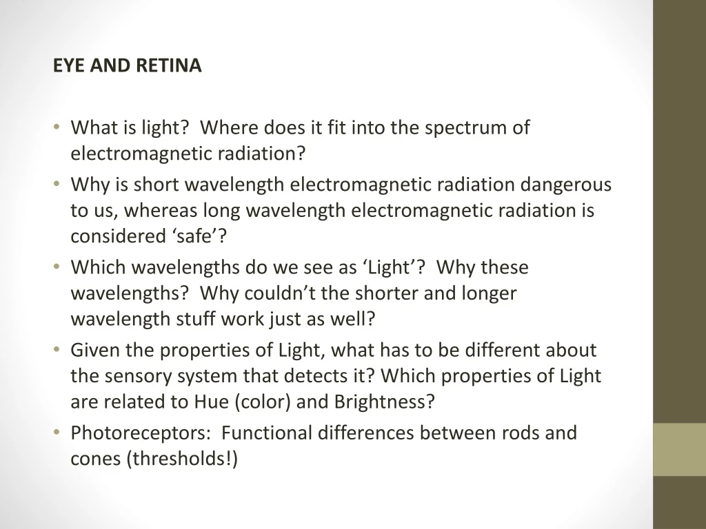 eye and retina what is light where does