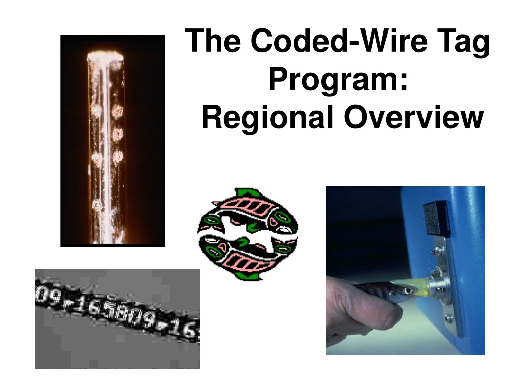the coded wire tag program regional overview
