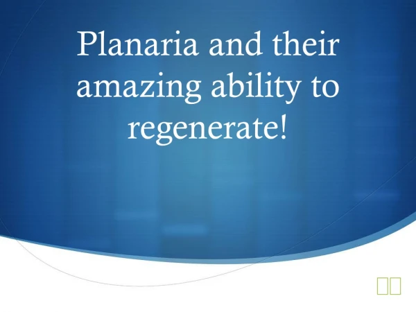 Planaria and their amazing ability to regenerate!