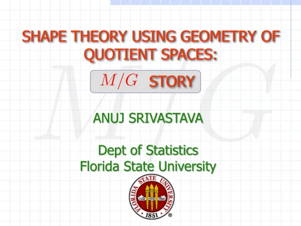 SHAPE THEORY USING GEOMETRY OF QUOTIENT SPACES: STORY