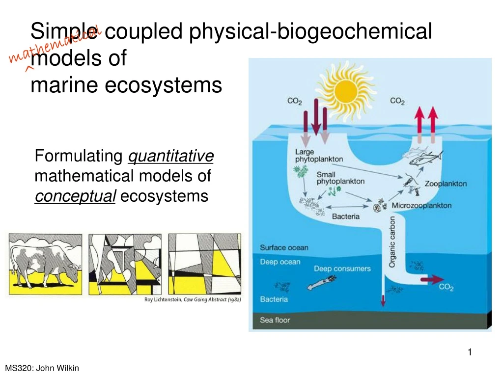 simple coupled physical biogeochemical models of marine ecosystems