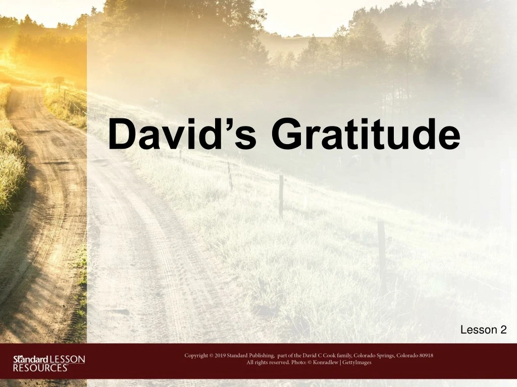 david s gratitude