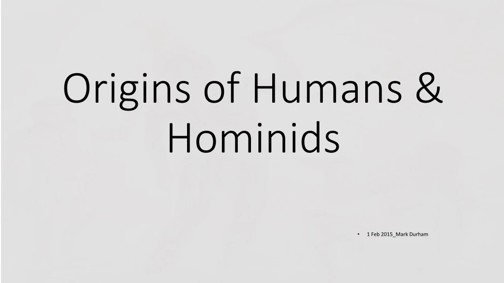 origins of humans hominids
