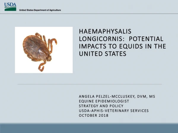 Haemaphysalis Longicornis : potential Impacts to Equids in the United States