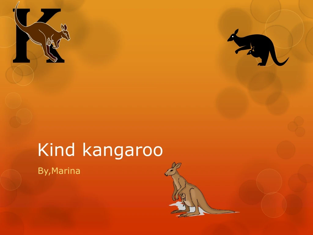 kind kangaroo