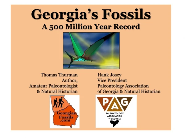 Georgia’s Fossils A 500 Million Year Record