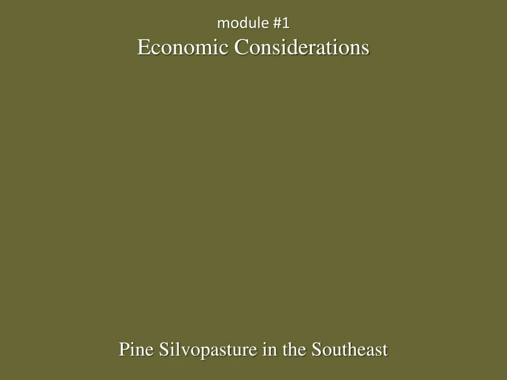 module 1 economic considerations