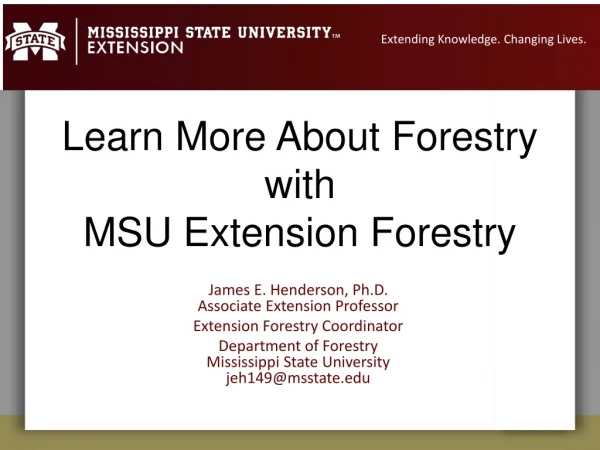 Learn More About Forestry with MSU Extension Forestry