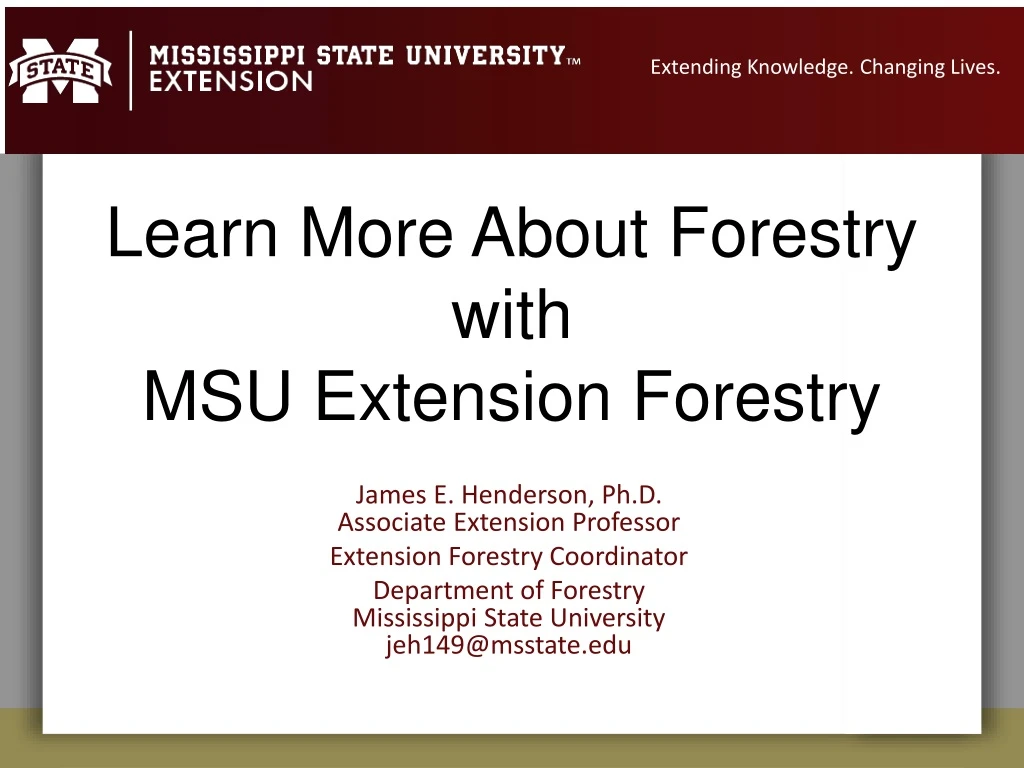learn more about forestry with msu extension