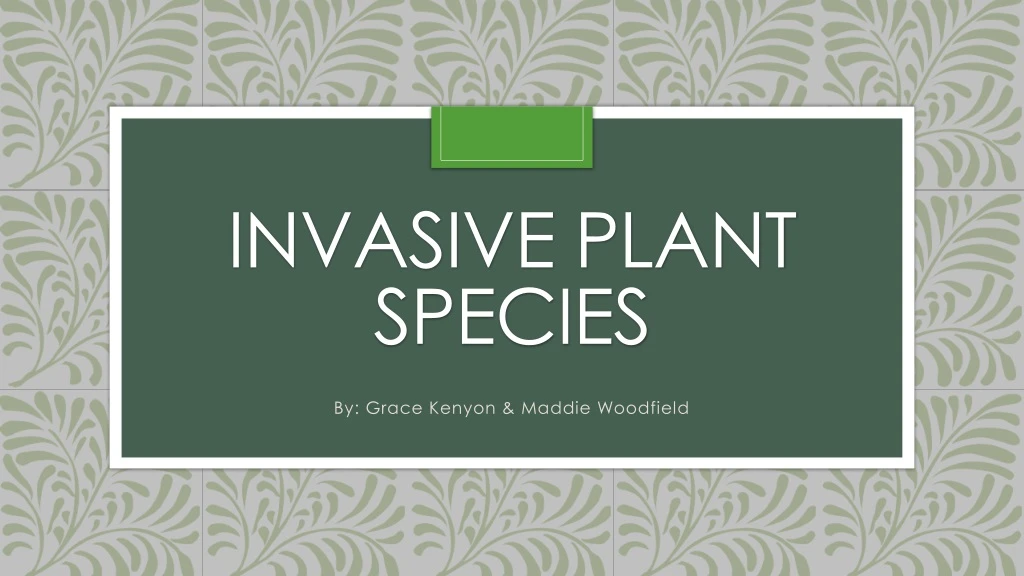invasive plant species