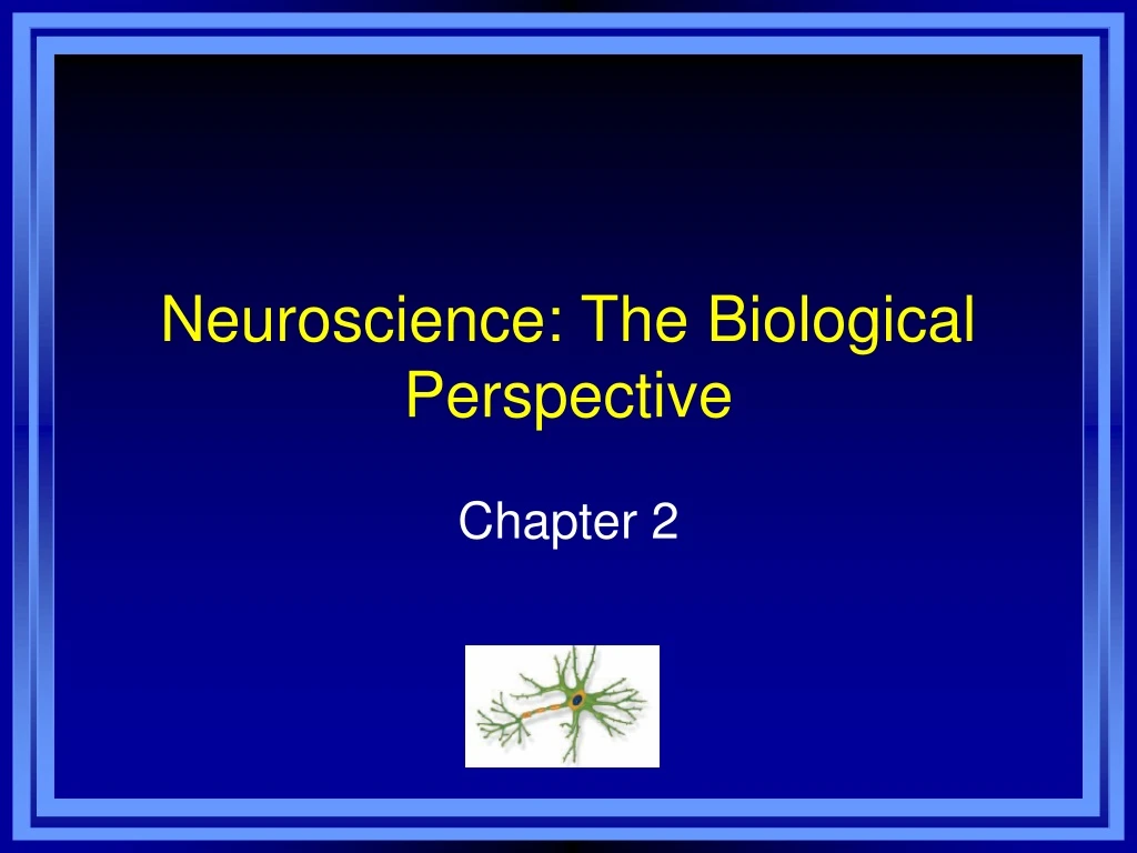 neuroscience the biological perspective