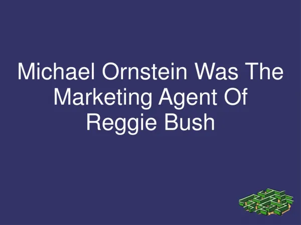 Michael Ornstein Was The Marketing Agent Of Reggie Bush