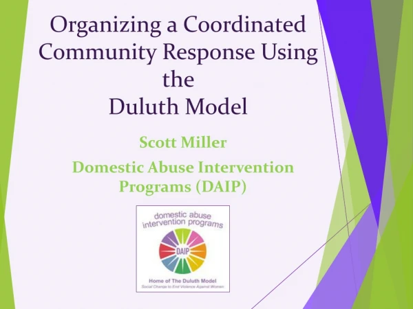 Organizing a Coordinated Community Response Using the Duluth Model