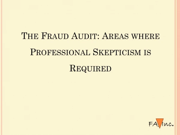 The Fraud Audit: Areas where Professional Skepticism is Required