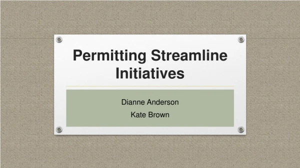 Permitting Streamline Initiatives