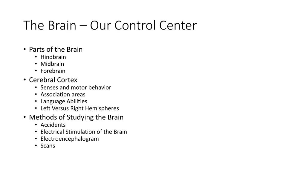 the brain our control center
