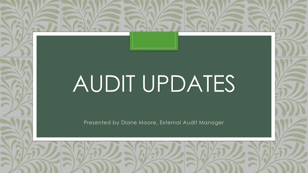 audit updates