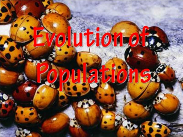 Evolution of Populations