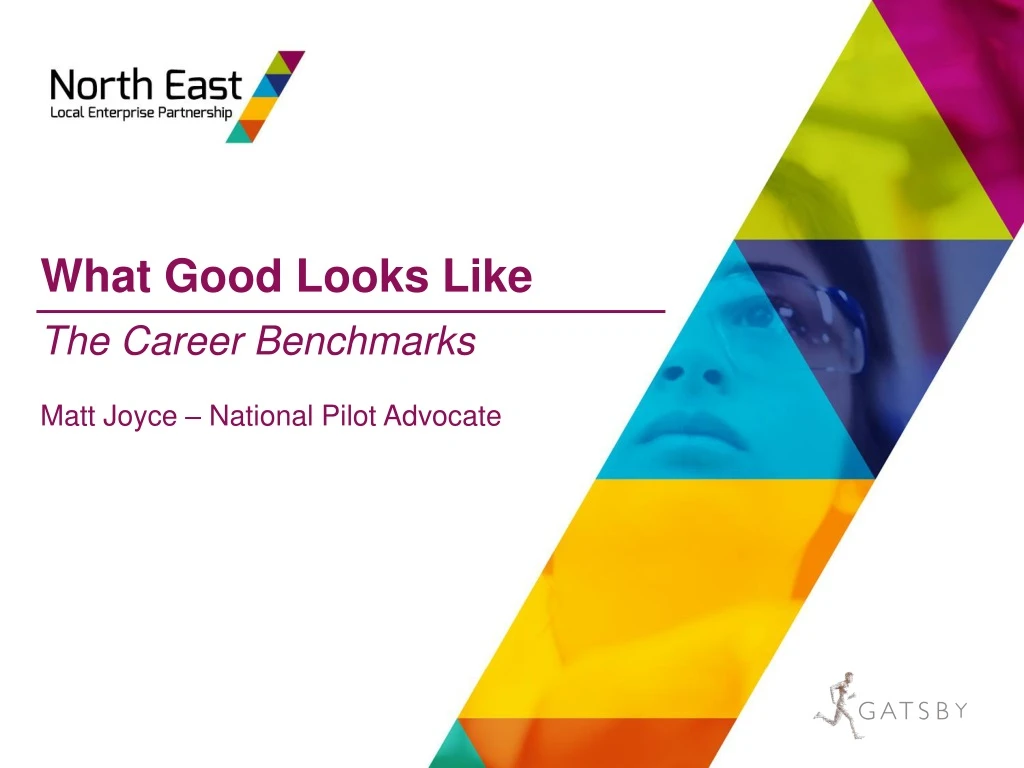 what good looks like the career benchmarks matt joyce national pilot advocate