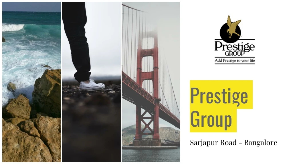 prestige group