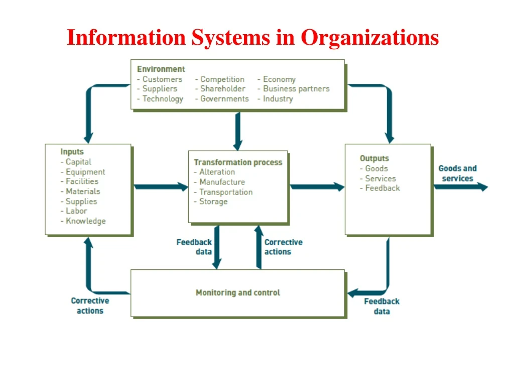 information systems in organizations