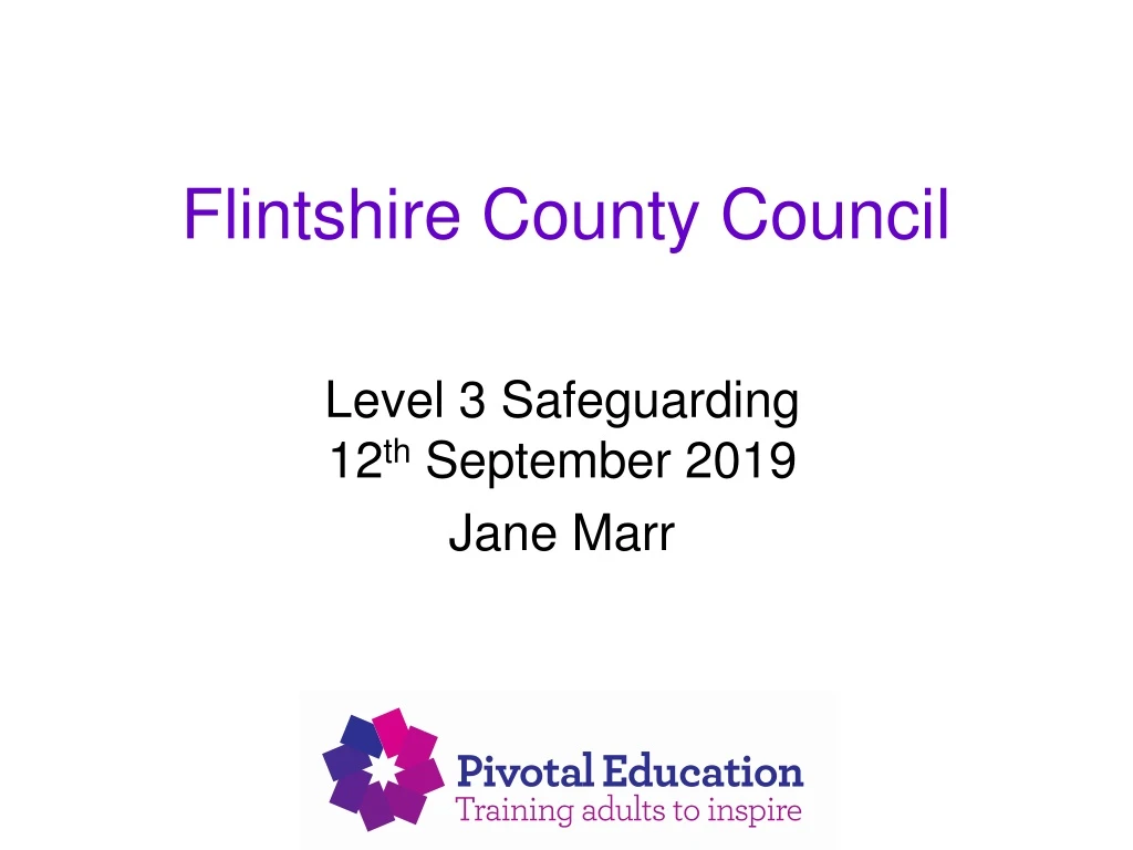 flintshire county council