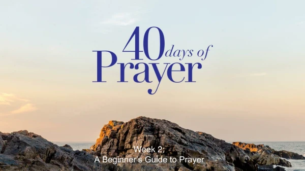 Week 2 : A Beginner’s Guide to Prayer