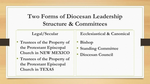 Two Forms of Diocesan Leadership Structure &amp; Committees