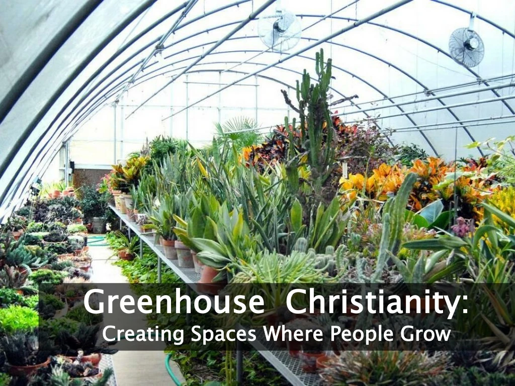 greenhouse christianity creating spaces where