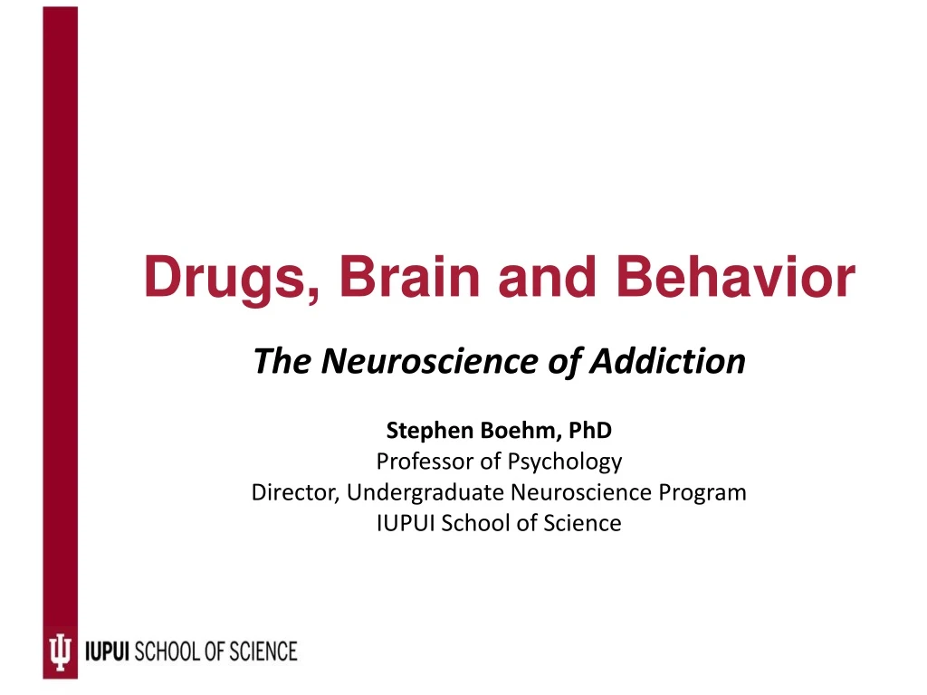 PPT - Drugs, Brain and Behavior PowerPoint Presentation, free download ...