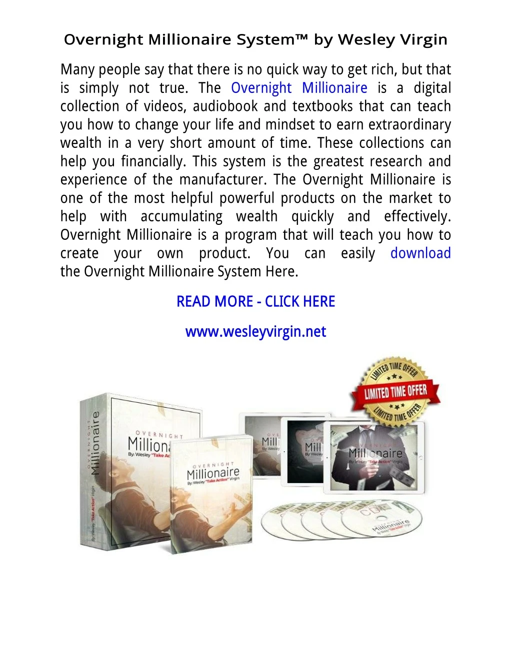 overnight millionaire system by w esley virgin