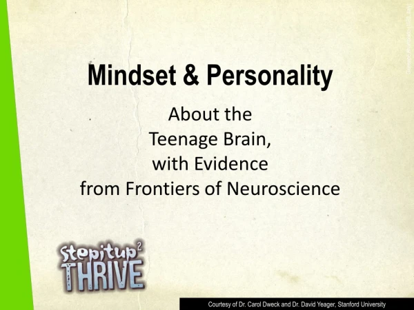 Mindset &amp; Personality About the Teenage Brain, with Evidence from Frontiers of Neuroscience